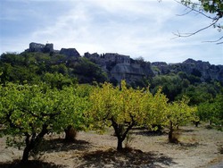 pic_Provence-Höhepunkte: Sterntour im Land des Lichts