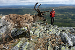 pic_Idre: Tor zur schwedischen Wildnis