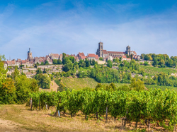 pic_Burgund  und Cote d´Ór